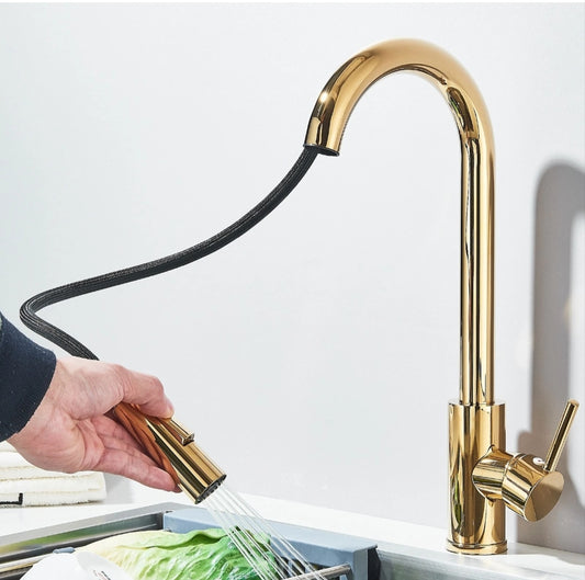Küchenarmartur Mischbatterie Wasserhahn Gold Design Brause