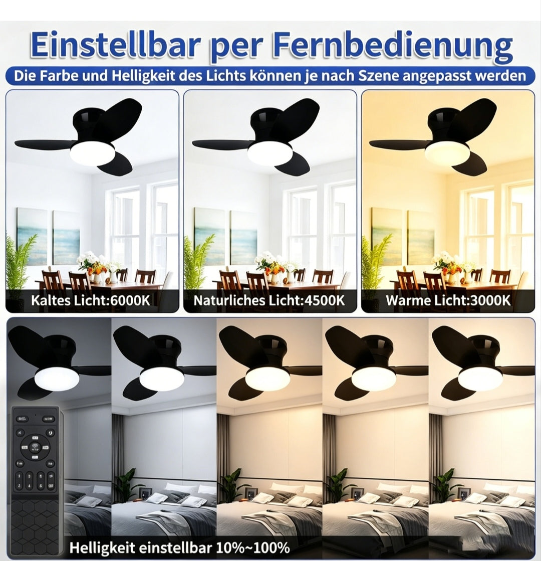 Deckenlampe Deckenventilator Ventilator Schwarz